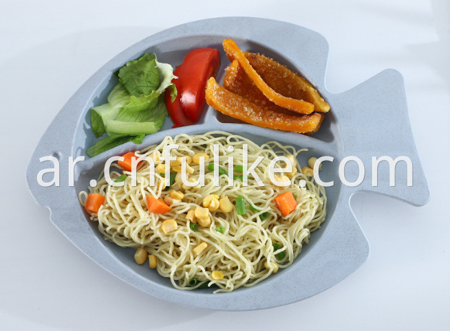 Divided Dish Plate